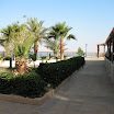 IMG_5917.JPG
