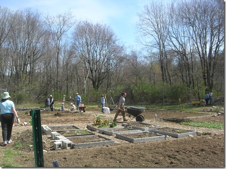CommGarden-2012 024