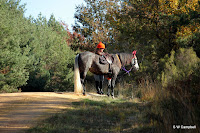 IMG_7119.JPG Photo