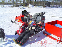 Latar dagar i Rosången, Påsken 2008