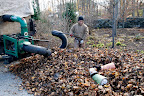 OMG!!  A giant leaf sucker!  We need to get out of here FAST!!!