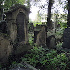 IMG_7182.JPG
