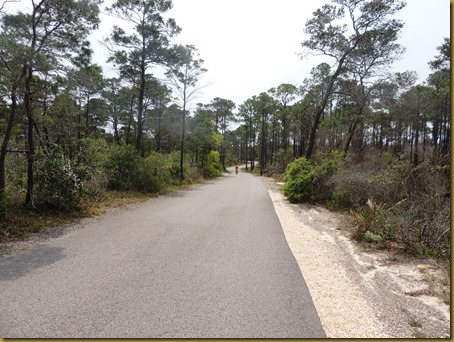 Vic riding ahead on the bike trail to the beach