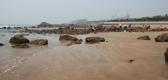 Qingdao - Plage shilaoren 石老人