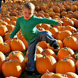 October 2010