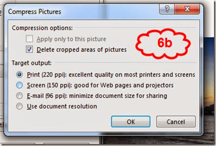 How reduce image size with Microsoft word 6b