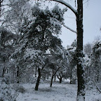 3-1-2010-036.jpg