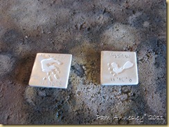 IMG_0028 IMG_0028