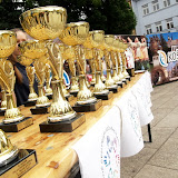 Plach&eacute;ho m&iacute;ľa 2011