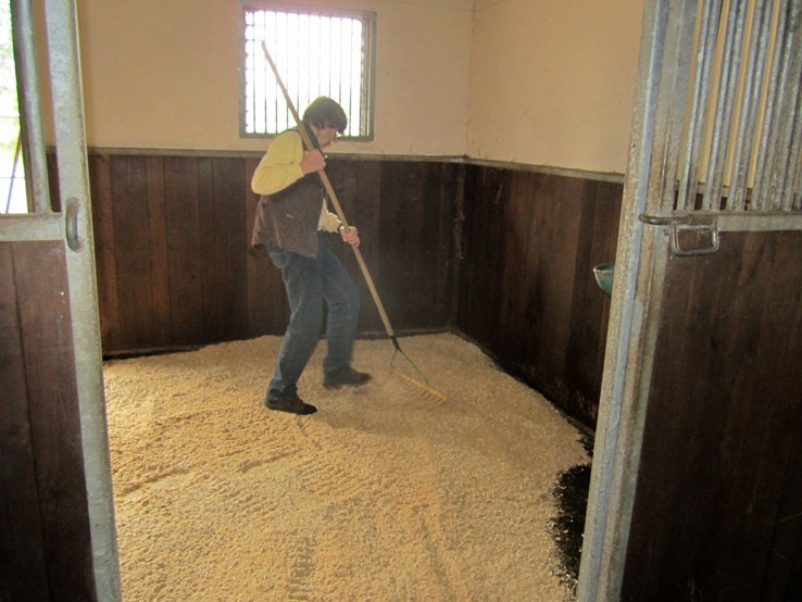 [IMG_0858x%255B2%255D.jpg]