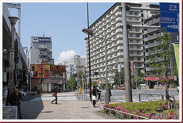IMG_3437 IMG_3437