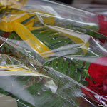 IMGP7247.jpg