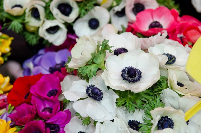 [A-day-in-Nice-523.jpg]