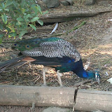 IMG-20110911-00164.jpg