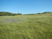 DSCN1881.JPG Photo