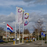 IMGP2187.JPG