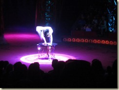IMG_1270 IMG_1270