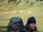 Guancos y Sophia Sofia Cruce de Tierra del Fuego Trekking Desde Estancia Carmen al Lago Fagnano, y desde la Sierra Valdivieso al Canal Beagle! 7 dias de Trekking intenso.