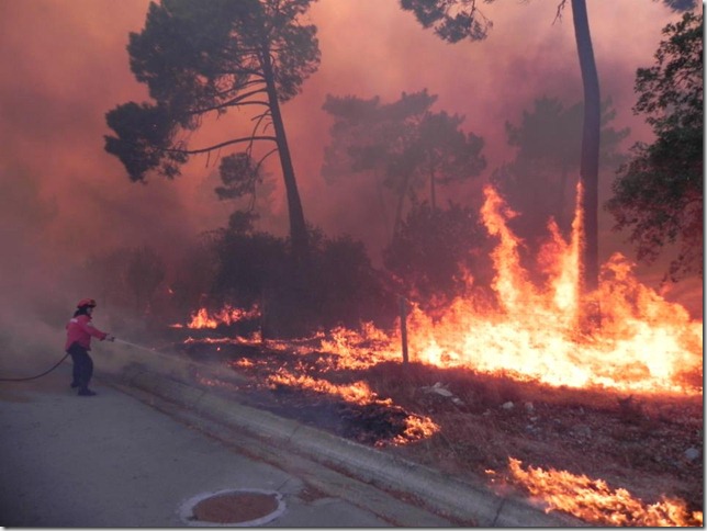 185902_454477204583727_1652148053_n