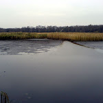 dsc00713.jpg