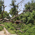 DSC_5509.jpg