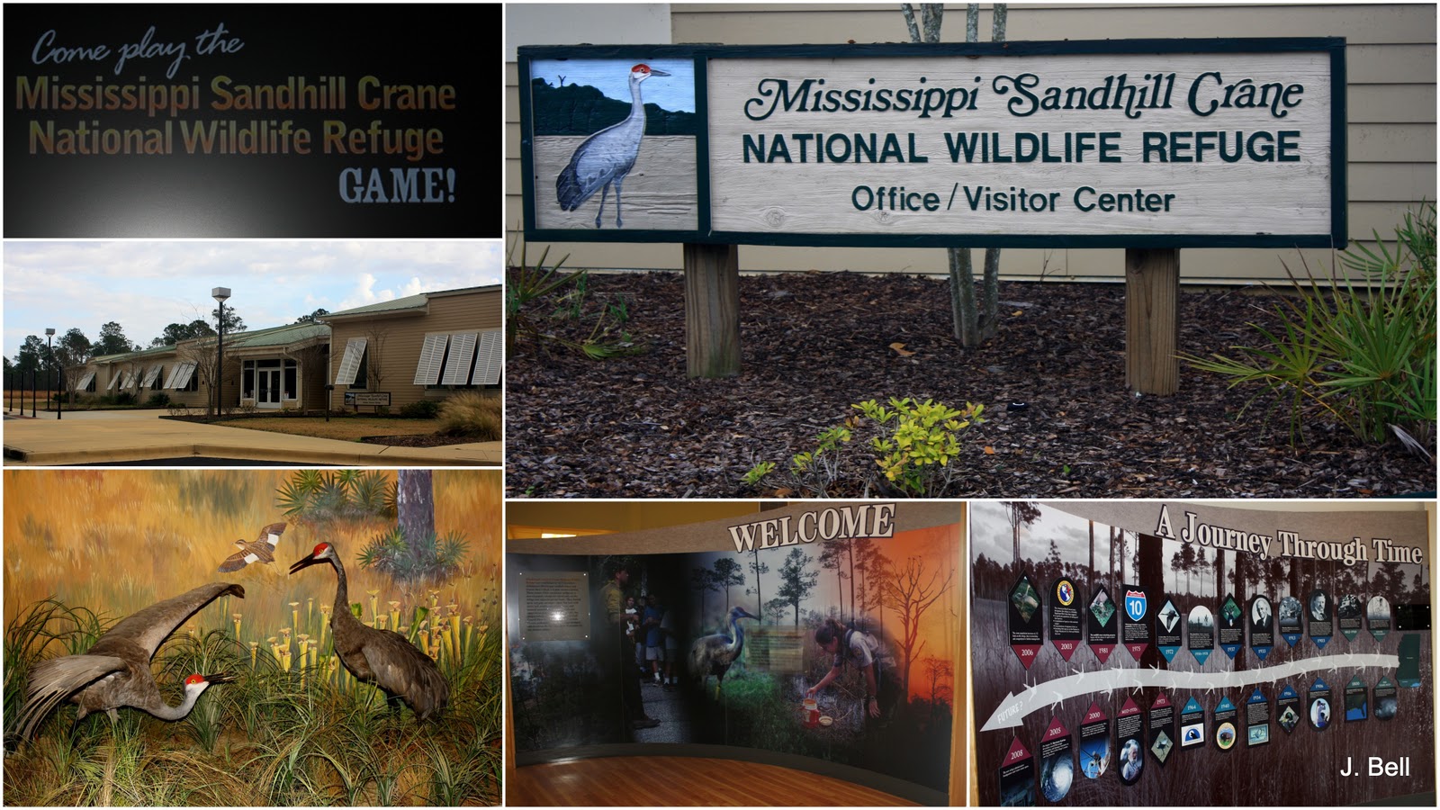 [66%2520MS%2520Sandhill%2520Crane%2520NWR%252020123%255B3%255D.jpg]
