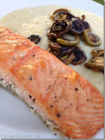 salmon 5