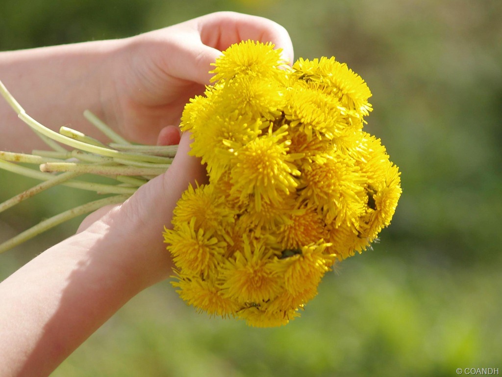 [P1018451_crop%255B11%255D.jpg]