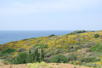 Agia Pelagia