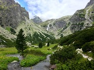 IMG_1180.jpg