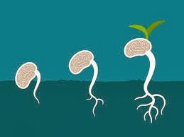 [jenga%2520tabia%255B3%255D.jpg]