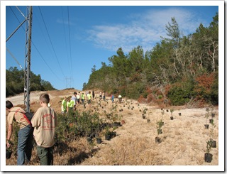 2012-12-1 Ocala (1)