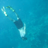 IMG_0146.jpg IMG_0146.jpg