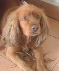 JOYCE