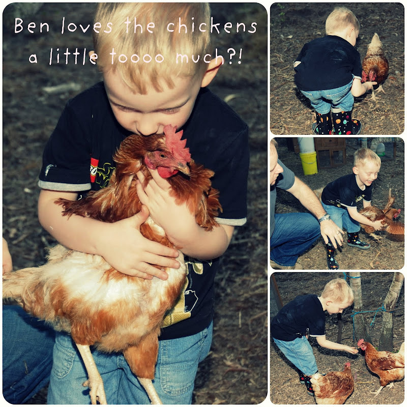 Picnik collage ben chickens