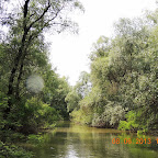 DSCN7203.JPG