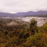 The Oparara Basin - Karamea, New Zealand