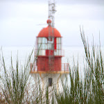 IMG_6040-001.jpg