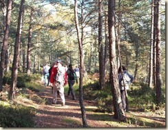 sur les traces des carriers (2) sur les traces des carriers (2)