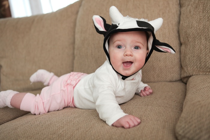 shecow-3.jpg Shecow 3