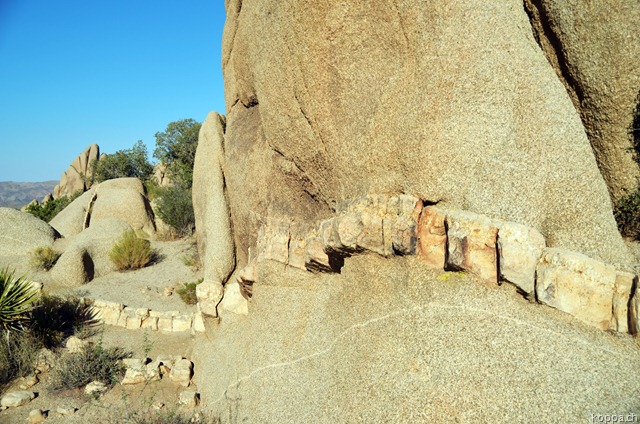 [110927JoshuaTreeNP102.jpg]