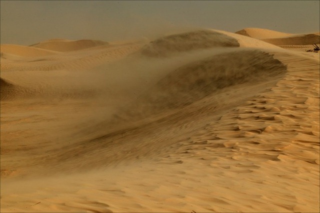 [sandstorm-sahara-desert%255B3%255D.jpg]