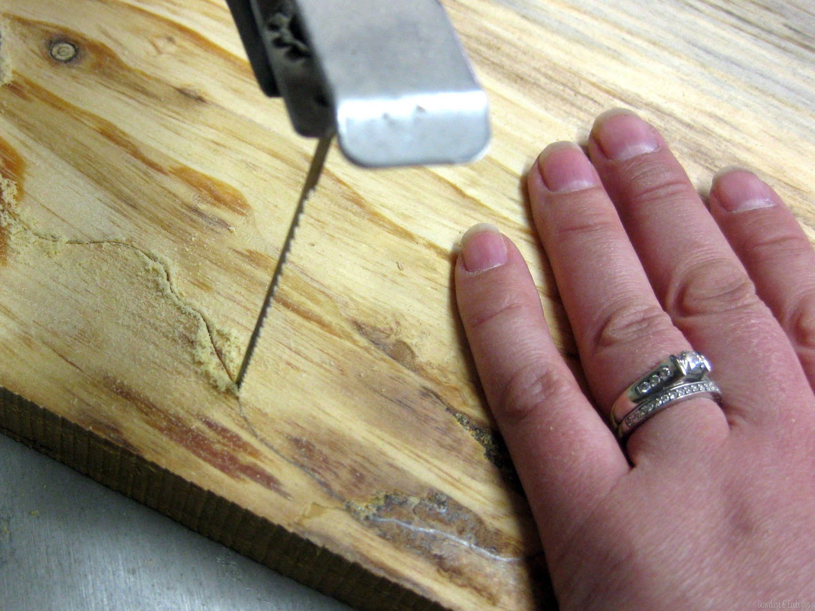 [Using%2520a%2520Scroll%2520Saw%2520to%2520Cut%2520a%2520State%2520Plaque%2520%257BSawdust%2520and%2520Embryos%257D%255B3%255D.jpg]
