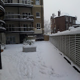 DSC00311.JPG