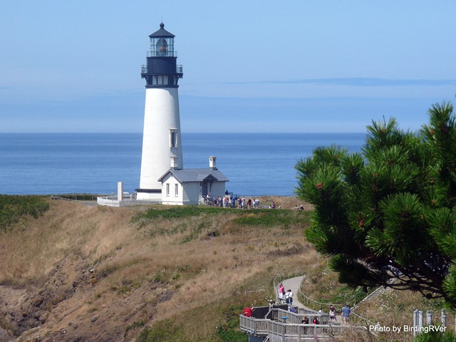 Lighthouse Tour Newport Oregon Lighthouse Tour Newport Oregon