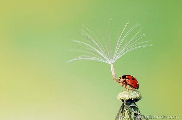 sony-world-photography-awards-2013-17 sony-world-photography-awards-2013-17