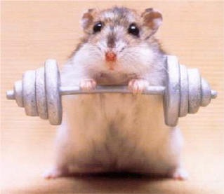 [Exercise4.jpg]