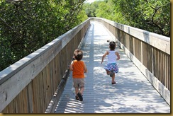 IMG_0218 IMG_0218