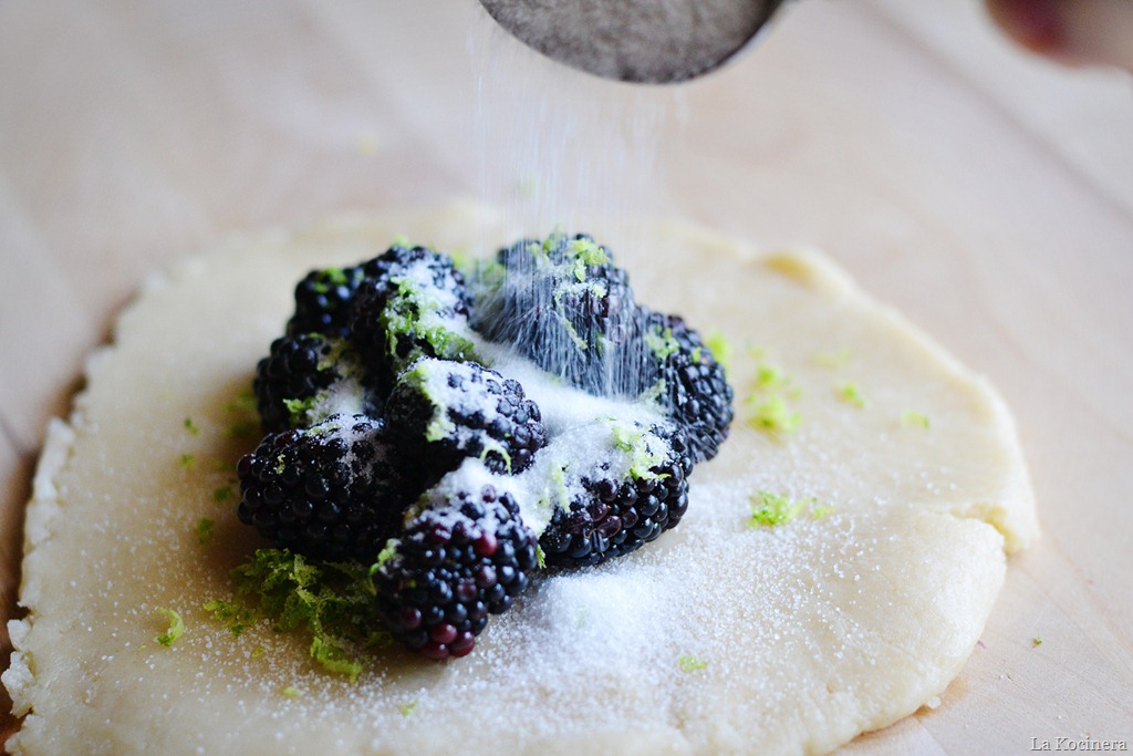 [sugar-and-blackberries5.jpg]