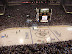 Stanley Cup Play-Offs